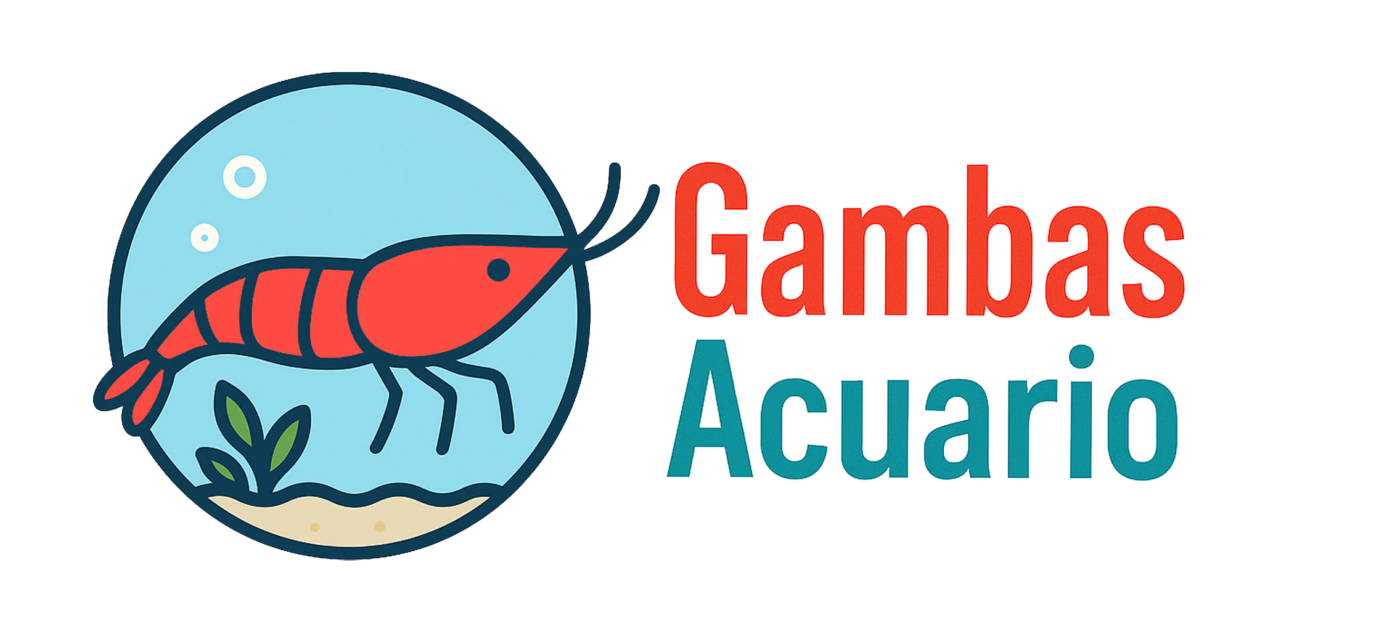 Gambas Acuario