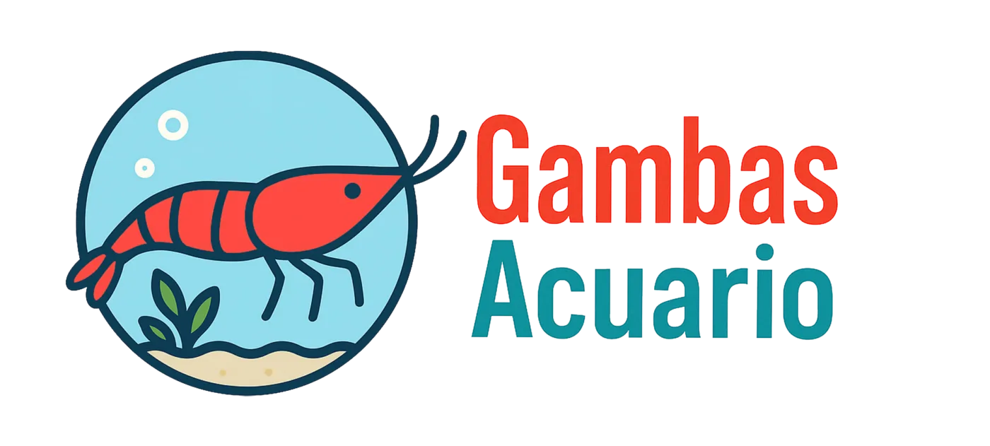 Gambas Acuario