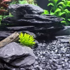 Rocas de pizarra para acuario