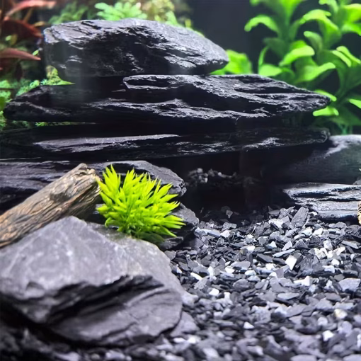 Rocas de pizarra para acuario