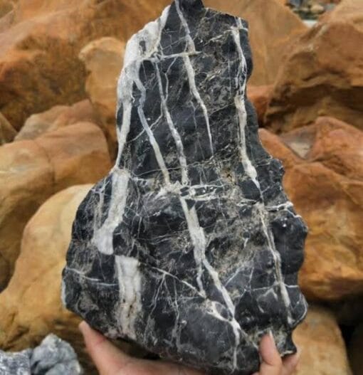 Seiryu stone