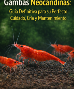 Gambas Neocaridinas Libro David Alonso