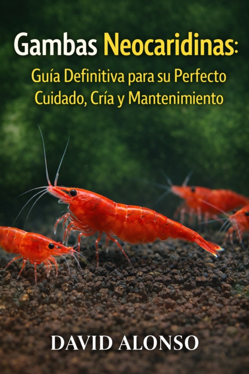 Gambas Neocaridinas Libro David Alonso
