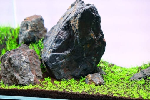 Yamaya Stone