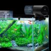 Comedero Automatico para Peces con Temporizador - detalle