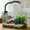Lampara LED USB con clip 7W color negro para acuario