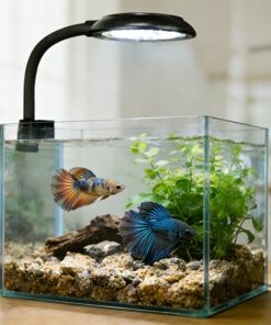 Lampara LED USB con clip 7W color negro para acuario