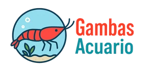 Gambas Acuario