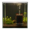 Filtro de esponja instalado en un nano acuario plantado con gambas Red Cherry encima